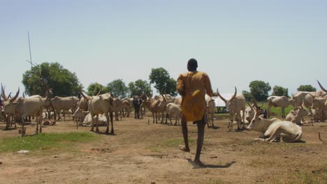 4K-Mundari-man-dancing-the-traditional-dance-happily