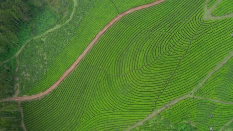 Aerial-drone-view-Don-Camaro-is-going-down-where-there-are-lots-of-cracks-and-big-roads-on-the-health