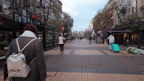 Menschen,-Die-Im-Spätherbst-Den-Vitosha-Boulevard-Entlang-Spazieren