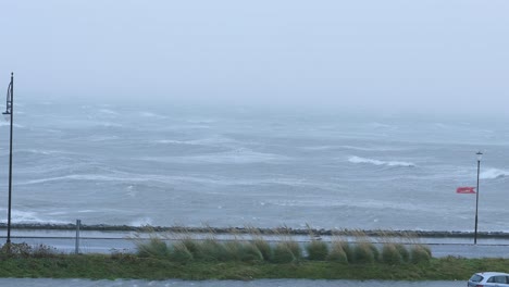 Sturm-Verwüstet-Autobesitzer