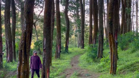 Rauchender-Alter-Mann,-Der-Mitten-Im-Wald-Spaziert