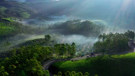 aerial-drone-view-The-drone-camera-is-moving-towards-the-side-where-the-road-and-residential-houses-and-big-trees-are-visible-across-the-road