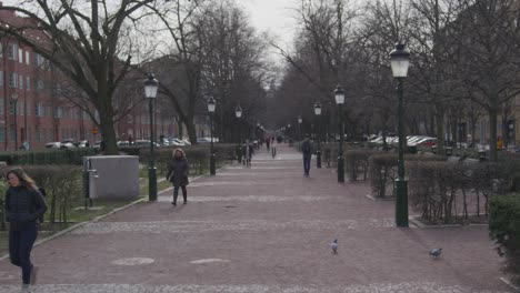 Stadtparkszene-Mit-Bäumen-Und-Straßenlaternen-In-Malmö,-Schweden