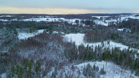 Vista-Panorámica-De-Pájaro-Sobre-Un-Paisaje-Invernal-Con-Bosques-De-Pinos-Y-Campos