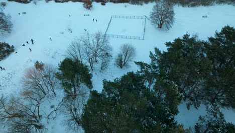 Menschen-Haben-Spaß-Im-Schnee-Im-Park-In-Przymorze,-Danzig,-Polen