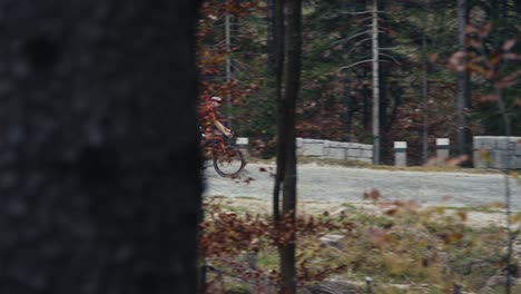 male-bicycle-rider-rolling-between-trees-on-a-winding-road-in-the-mountains