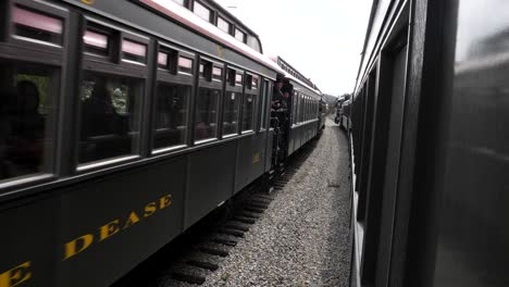 White-Pass-and-Yukon-Route-Trains-passing-each-other,-Skagway-Alaska