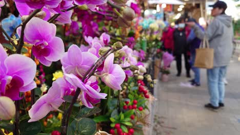 Teilseitenansicht-Von-Blumen-Mit-Kunden-Auf-Dem-Mongkok-Blumenmarkt-Mit-Verschwommenem-Hintergrund-In-Hongkong