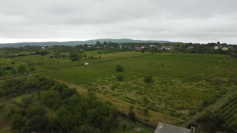 Luftaufnahme-Von-Offenen-Feldern-Inmitten-Der-Natur-Und-Unter-Einem-Wunderschönen-Blauen-Himmel