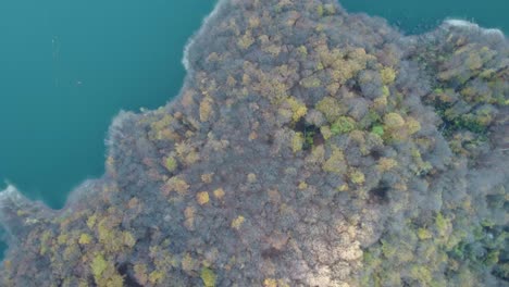 Wonderful-drone-shot-of-a-turquoise-lake-and-the-shore-of-a-mountain-full-of-green-pine-trees