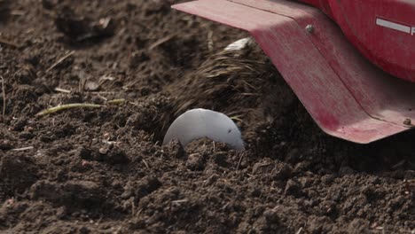 Labrar-La-Tierra-Del-Jardín-Con-Un-Rotavator---Máquina-Cultivadora