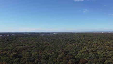 incredible-drone-shot-of-a-valley-full-of-leafy-trees-under-a-beautiful-blue-sky