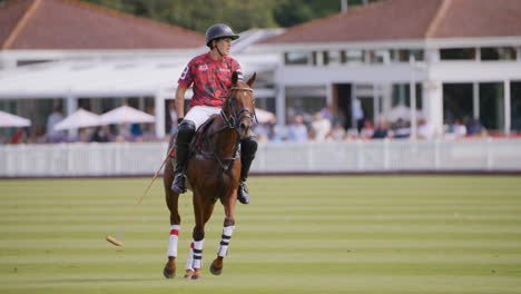 Polo-En-Caballo-Castaño-Sudoroso-Monta-Un-Círculo-Cerrado-Esperando-Que-Comience-El-Juego