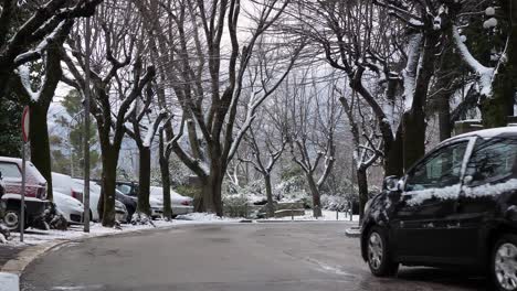 Árboles-Bajo-La-Nieve-En-Las-Calles-De-Guardiagrele-Mientras-Pasa-Un-Coche,-Abruzzo,-Italia