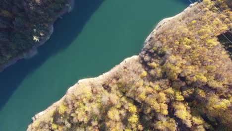 Beautiful-aerial-shot-of-a-stream-with-crystal-clear-water-surrounded-by-pines-and-trees