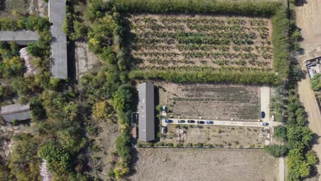 Toma-Aérea-De-Una-Granja-En-Medio-De-Las-Tierras-De-Cultivo-Con-Autos-Estacionados