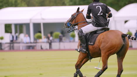 Jugador-De-Polo-Con-Camisa-Negra-Galopa-A-Lo-Largo-De-Un-Campo-Verde-Sobre-Un-Caballo-Castaño