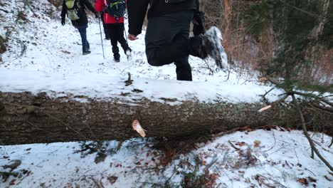 Eine-Gruppe-Von-Menschen-Wandert-Auf-Einem-Winterlich-Verschneiten-Berg,-Sinaia,-Rumänien