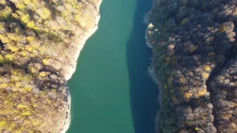 Hermoso-Paisaje-De-Un-Arroyo-De-Aguas-Cristalinas-Rodeado-De-Pinos-Y-Madroños