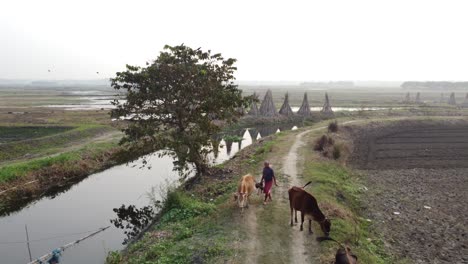 Drone-video-of-soil-road,-rivers-and-canals-in-East-Asia-villages