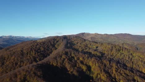 Beautiful-aerial-drone-shot-of-mountains-full-of-pine-and-arbutus-trees