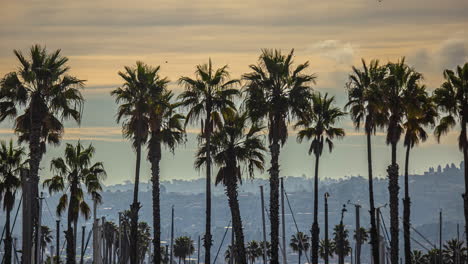 Manhattan-Beach-City-Durch-Die-Palmen-Während-Eines-Zeitraffers-Bei-Sonnenuntergang