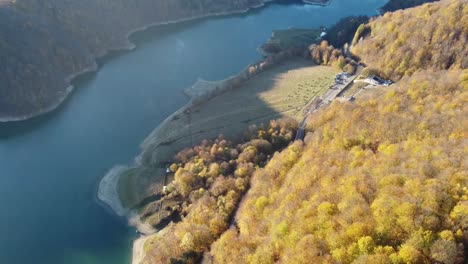 Hermosa-Toma-Aérea-De-Un-Arroyo-Con-Agua-Cristalina-Rodeado-De-Pinos-Y-árboles