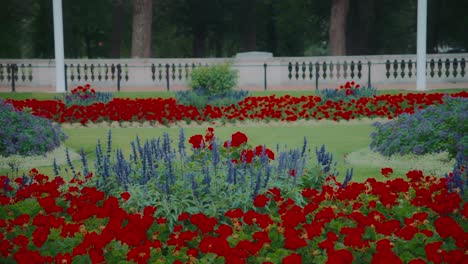 Coloridos-Parterres-De-Flores-Fuera-Del-Palacio-De-Buckingham-En-Londres