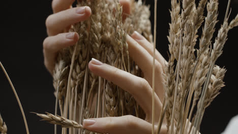 Person-touching-wheat