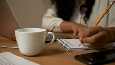 Young-woman-working-at-home