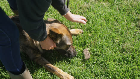 Schäferhund-Mit-Seinem-Besitzer-Auf-Dem-Bauernhof-4k