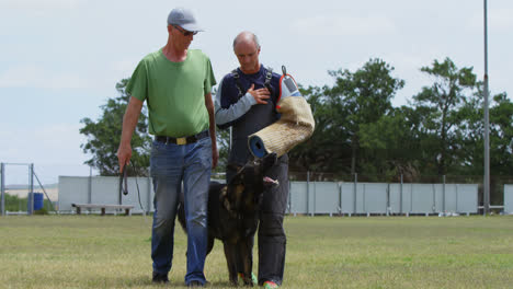 Shepherd-dog-walking-with-his-owner-and-trainer-4k