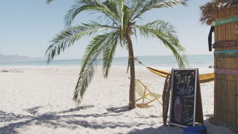 Blick-Auf-Einen-Strand-Mit-Einem-Surfshop-Und-Einer-Palme-Mit-Einer-Daran-Befestigten-Hängematte-