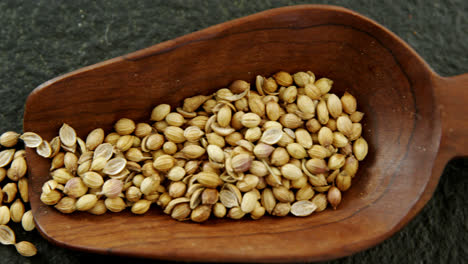 -Coriander-seed-spilling-out-of-a-wooden-scoop-4k