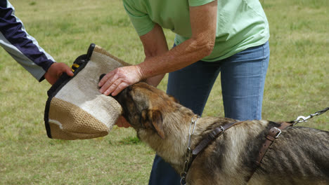 Shepherd-dog-with-his-owner-in-the-farm-4k