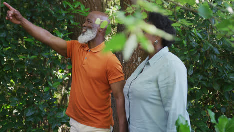 African-american-senior-couple-holding-hands-walking-together-in-the-garden