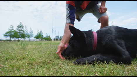 Trainer-feeding-food-to-his-dog-4k