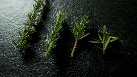 Rosemary-on-black-background-4k