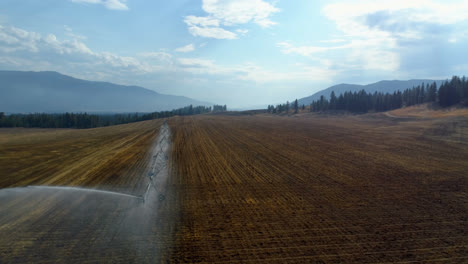 Aerial-view-of-irrigation-sprinkles-used-in-harvested-field-4k