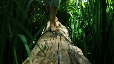 Mujer-Caminando-Sobre-Un-Tronco-De-Madera-En-El-Parque-4k