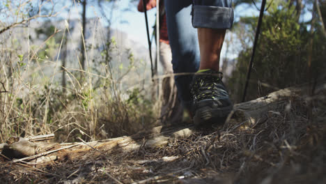 Close-up-view-of-senior-couple-walking-on-mountains