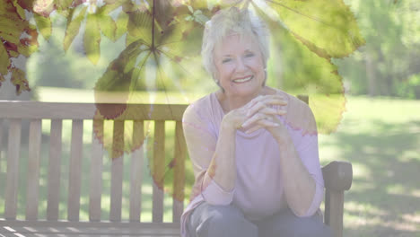 Animation-of-glowing-light-over-happy-senior-woman-sitting-on-bench-in-park