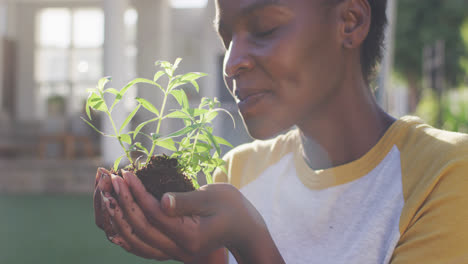 Happy-african-american-female-gardening,-holding-and-smelling-plant-in-garden