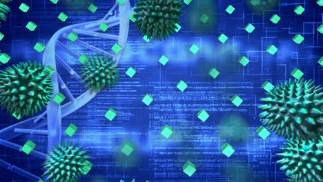 Animation-of-covid-19-cells,-dna-strand-and-rows-of-green-cubes-over-data-processing