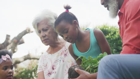 Happy-senior-african-american-grandparents-with-grandchildren-working-in-garden