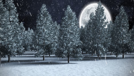 Animation-of-snow-falling-over-winter-night-landscape-with-fir-trees