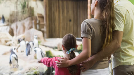 Embracing-caucasian-parents-and-daughter-looking-at-penguins-in-zoo-enclosure