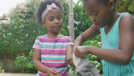 Felices-Chicas-Afroamericanas-Usando-Guantes-Y-Trabajando-En-El-Jardín