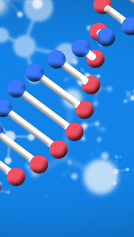 Animation-of-dna-strand-spinning-and-molecules-on-blue-background