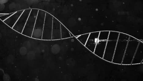 Makroanimation-Von-Sich-Drehenden-Blauen-3D-DNA-Strängen